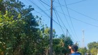 IMG_20261021_202908
